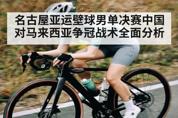 名古屋亚运壁球男单决赛中国对马来西亚争冠战术全面分析 - www.c7c7.app